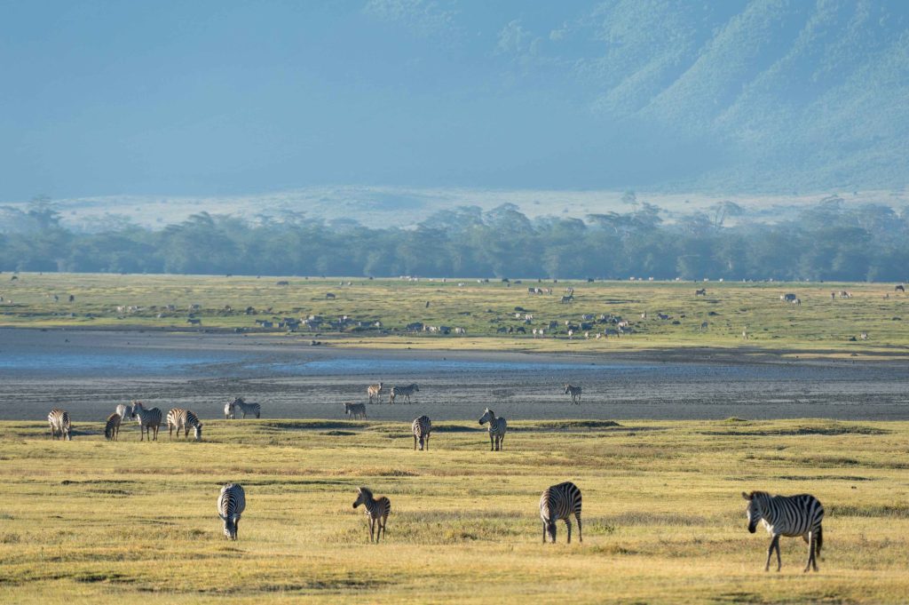 big-game-trail-adventures-serene-african-savannah (1)